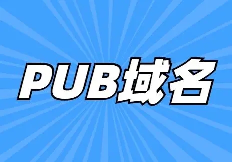 pub域名能被各大搜索引擎收录吗？