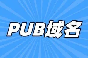 pub域名怎么样？可以备案吗？